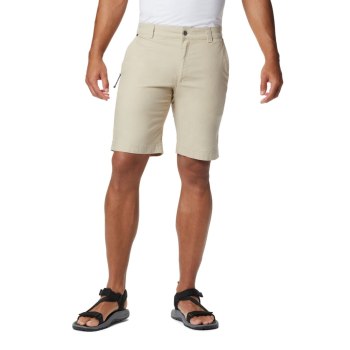 Columbia Flex ROC Big, Pantalones Cortos Kaki Para Hombre | 078591-IAK